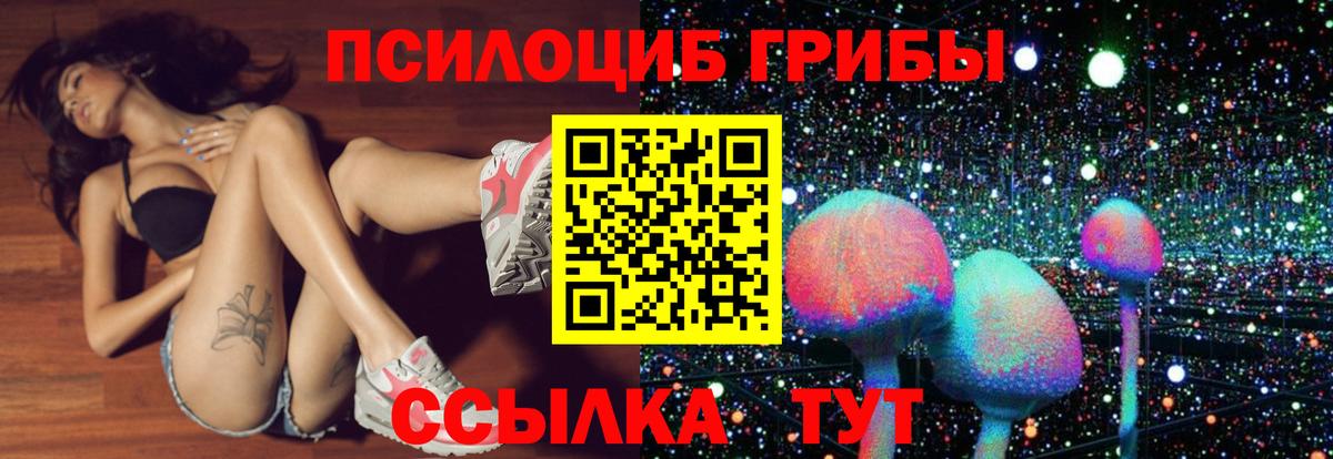 Псилоцибиновые грибы GOLDEN TEACHER Воронеж